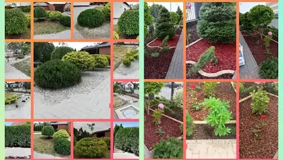 Ogrodowy raj Damian Paulina Wruczyńska